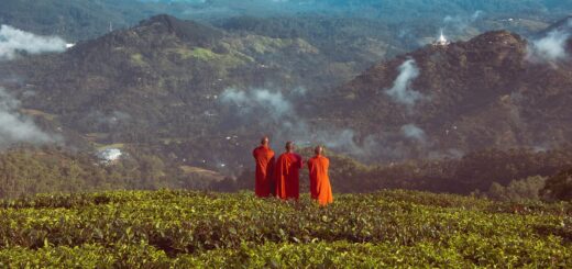 Sri Lanka Land of Buddha