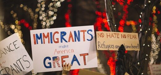 Posters People Rally Protest  - StockSnap / Pixabay