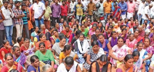 sri lanka war refugees