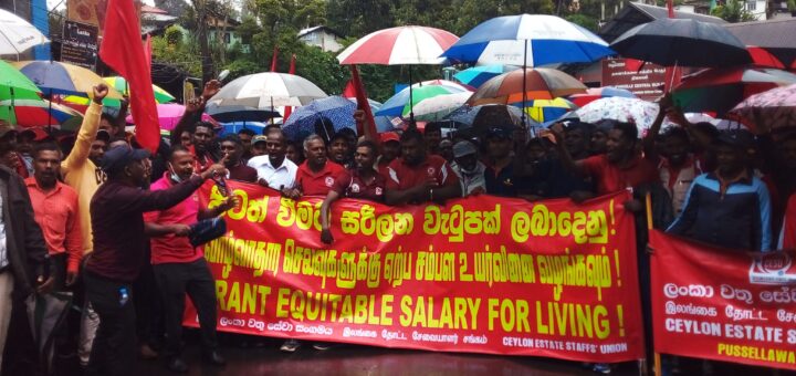 ceylon estate staff union