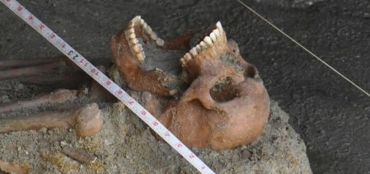 mannar mass grave sri lanka
