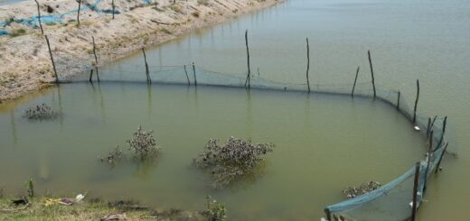 fishing industry in sri lanka