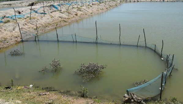 fishing industry in sri lanka